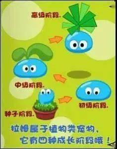 B站怎么承包番剧？解锁专属追番体验