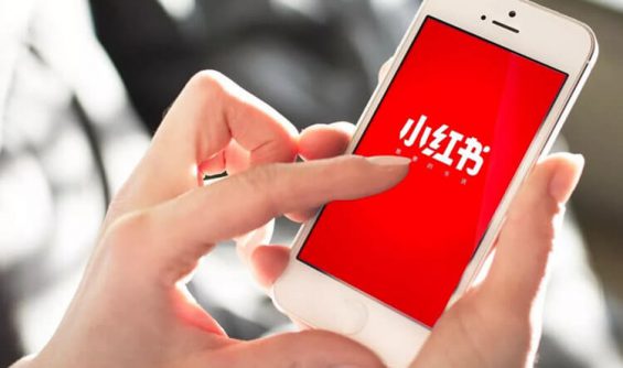如何在小红书上高效收集信息：玩转内容与生活灵感