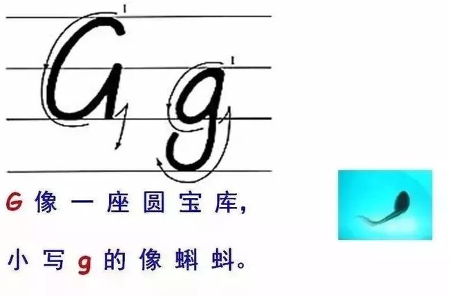 怎么开小瓶小红书——新手必备攻略与窍门